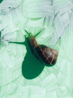 Viviane Sassen - snail