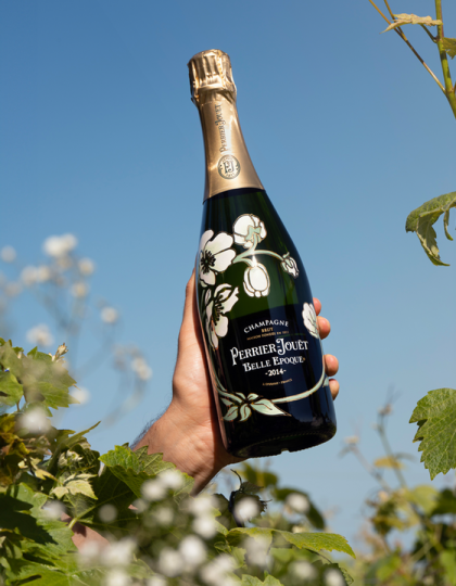 BE BRUT 2014 