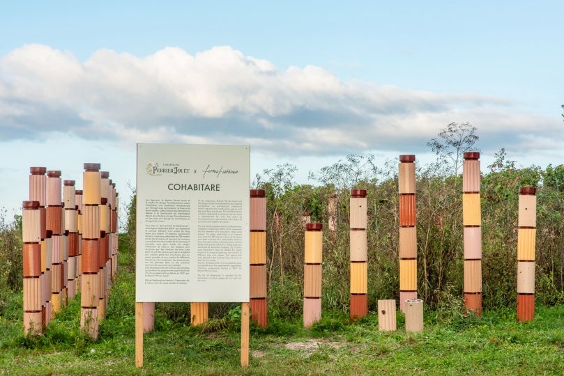 Cohabitare